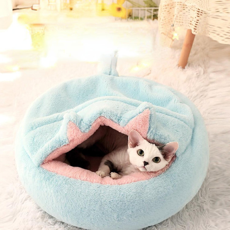 Enclosed sales cat bed